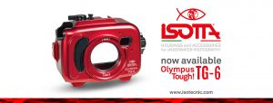 Isotta TG-6 Housing Now in Stock